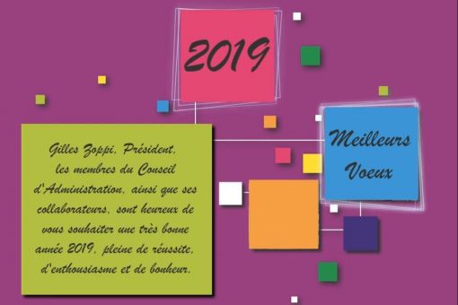 Meilleurs Voeux 2019 !