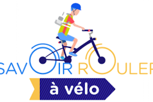 Formation animateur Savoir Rouler à Vélo